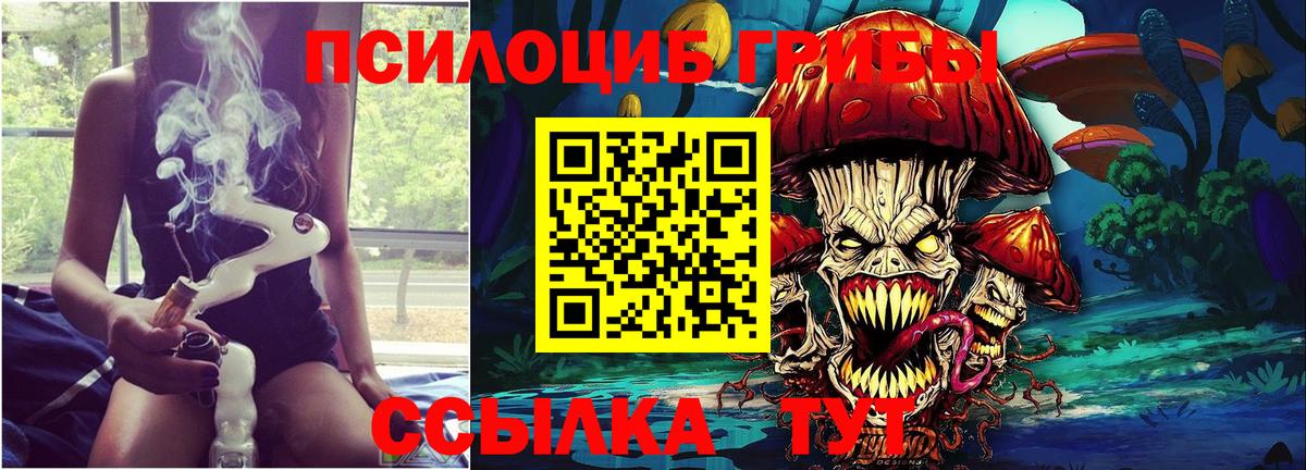 Кострома  Псилоцибиновые грибы MAGIC MUSHROOMS  Псилоцибиновые грибы мицелий  Вход с VPN 